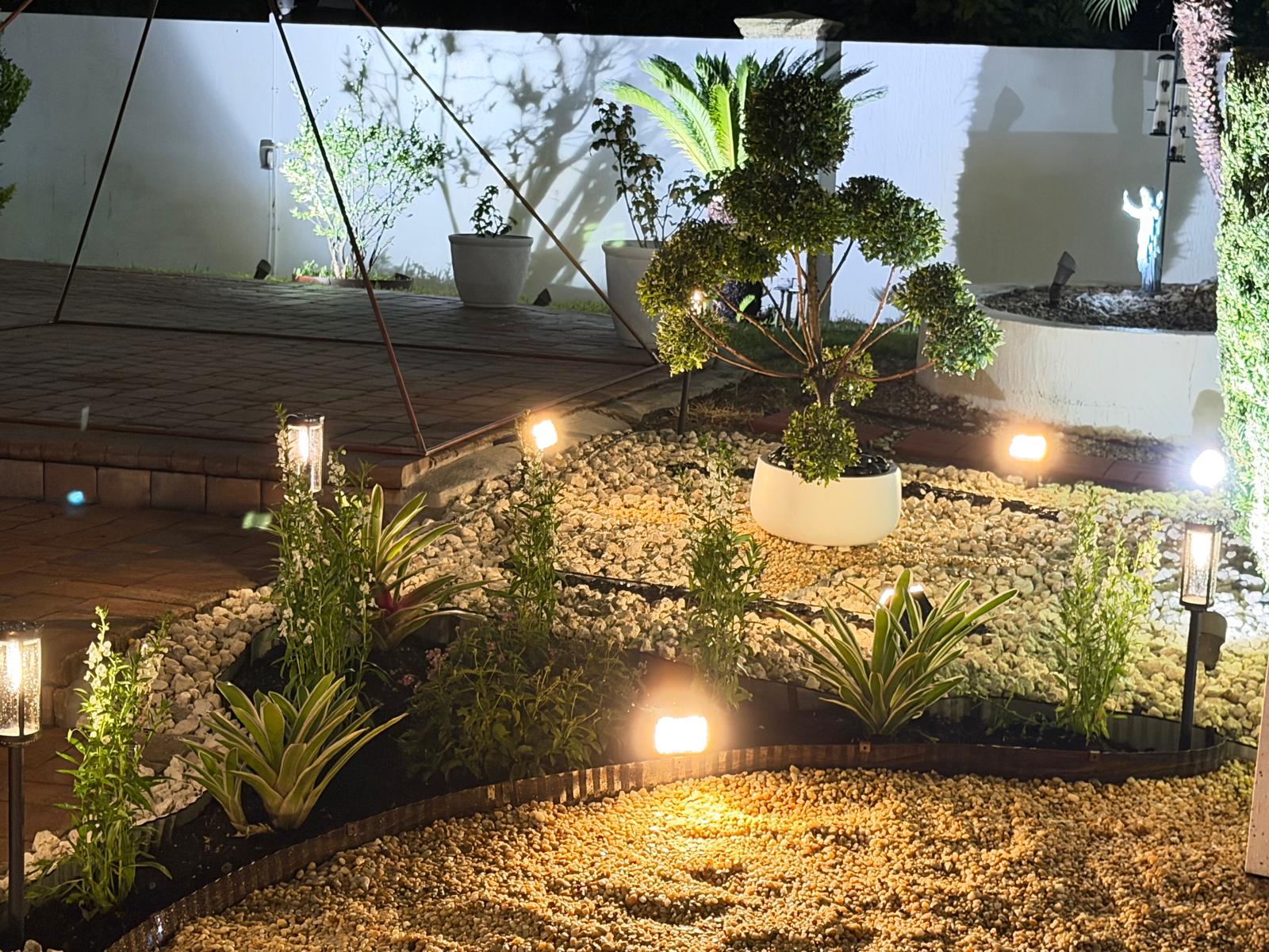 A lit garden: clipped standards, planted beds and a gravel walk against a white wall