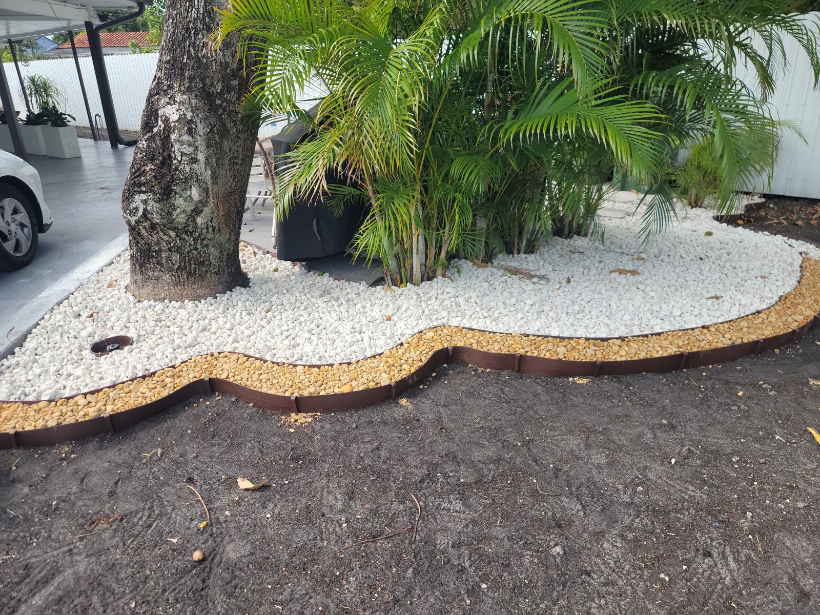 A curving bed of white marble chip and gold pebble held by a scalloped edge, sweeping around a mature trunk and areca palms