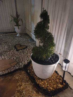 MariErich Landscaping & Design job photo 20 of 22 — landscaping in South Florida