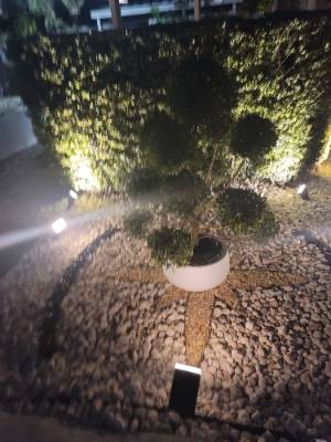MariErich Landscaping & Design job photo 17 of 22 — landscaping in South Florida