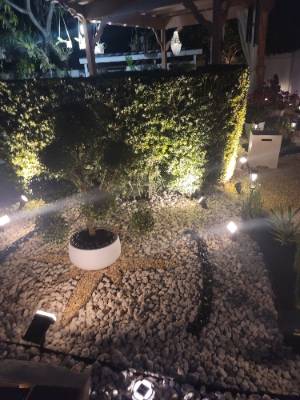 MariErich Landscaping & Design job photo 16 of 22 — landscaping in South Florida
