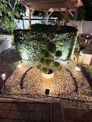 MariErich Landscaping & Design job photo 13 of 22 — landscaping in South Florida