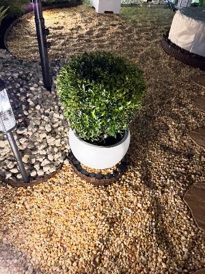 MariErich Landscaping & Design job photo 12 of 22 — landscaping in South Florida