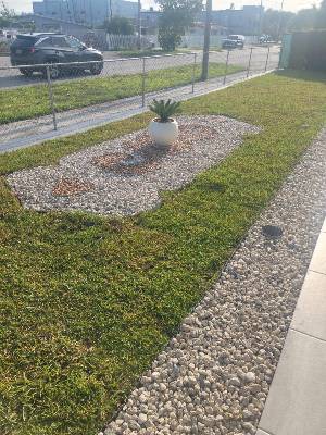 MariErich Landscaping & Design job photo 1 of 22 — landscaping in South Florida