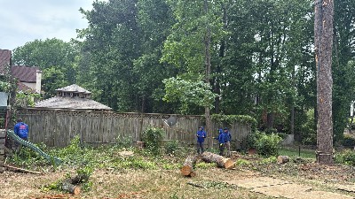 Alexander's Stump Grinding project photo 20