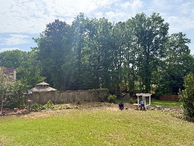 Alexander's Stump Grinding project photo 19