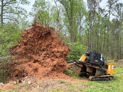 Alexander's Stump Grinding project photo 18