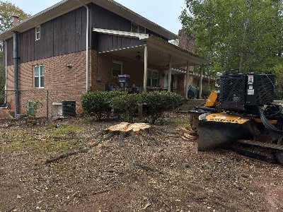 Alexander's Stump Grinding project photo 17