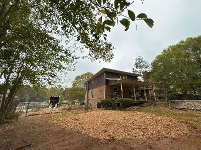 Alexander's Stump Grinding project photo 16