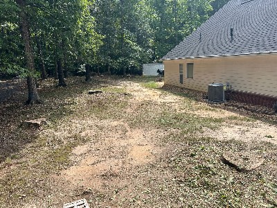 Alexander's Stump Grinding project photo 15