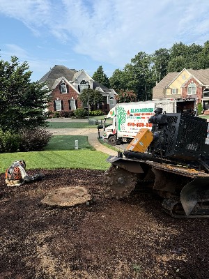 Alexander's Stump Grinding project photo 14