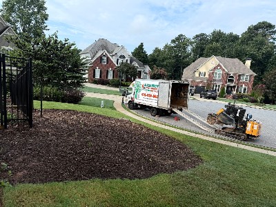 Alexander's Stump Grinding project photo 12
