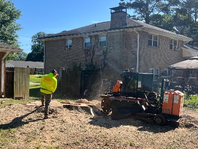 Alexander's Stump Grinding project photo 11
