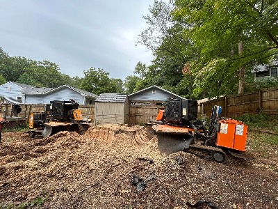 Alexander's Stump Grinding project photo 8