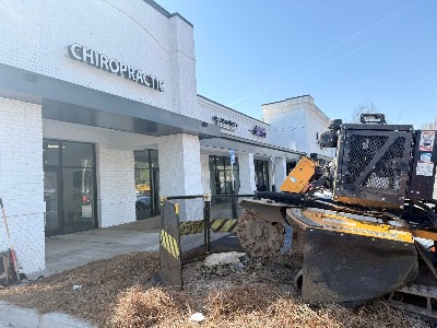 Alexander's Stump Grinding project photo 9