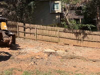 Alexander's Stump Grinding project photo 7