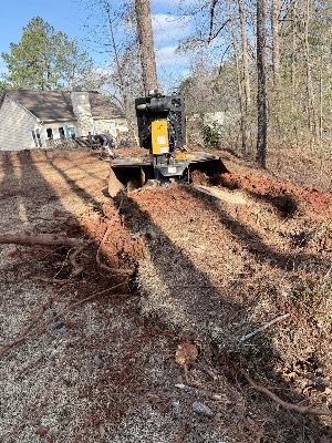 Alexander's Stump Grinding project photo 3