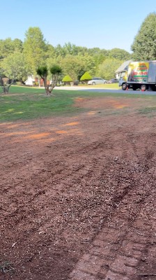 Alexander's Stump Grinding project photo 2