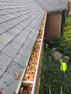 Lorenzo's Tree Services job photo 16