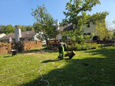 Lorenzo's Tree Services job photo 15