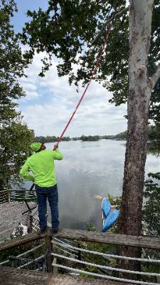 Lorenzo's Tree Services job photo 12