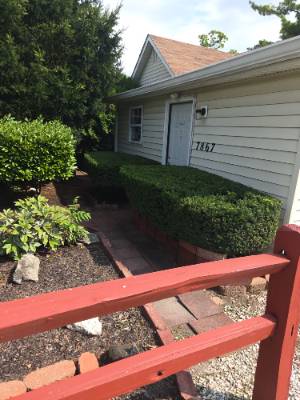 Lorenzo's Tree Services job photo 10