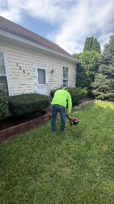 Lorenzo's Tree Services job photo 8