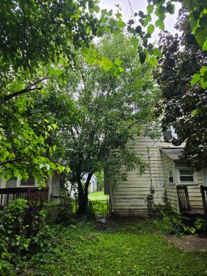 Lorenzo's Tree Services job photo 5