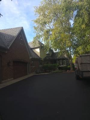 Lorenzo's Tree Services job photo 1