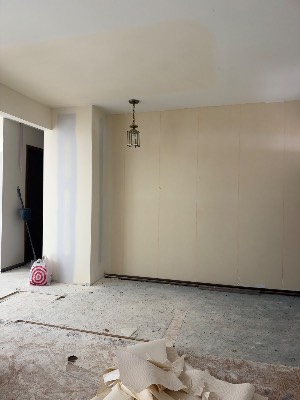 Castro Pro Painting project photo 3