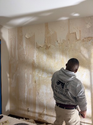 Castro Pro Painting project photo 2