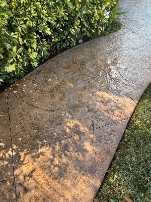 David Garcia Concrete Services job photo 2