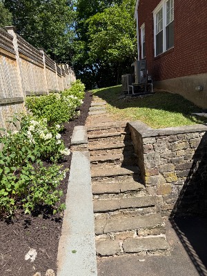 Green Line LLC job site photo 13