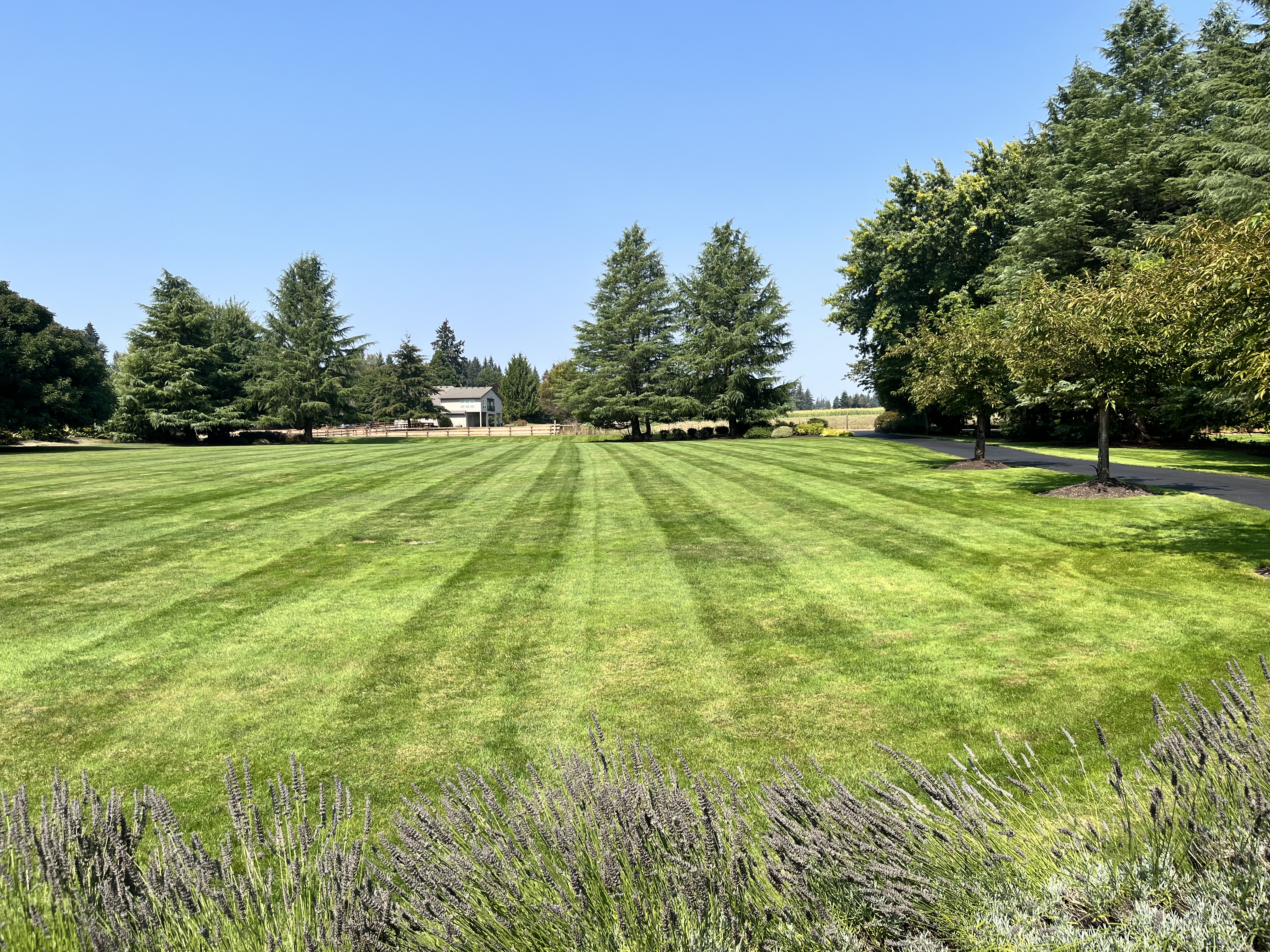 Green Mount Landscape project