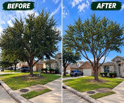 Medina Tree Experts project photo 3