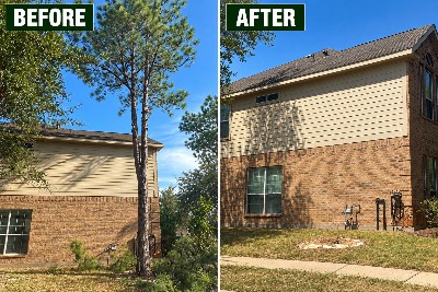 Medina Tree Experts project photo 1