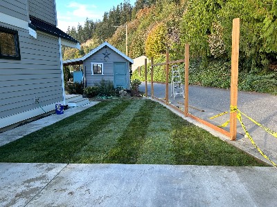 Noriega Landscaping project photo 20