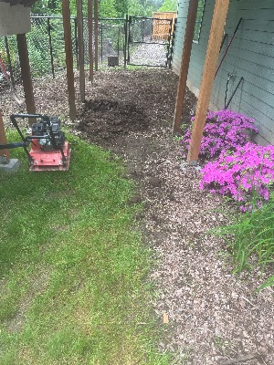 Noriega Landscaping project photo 19