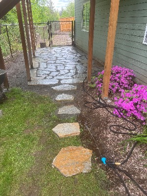 Noriega Landscaping project photo 18