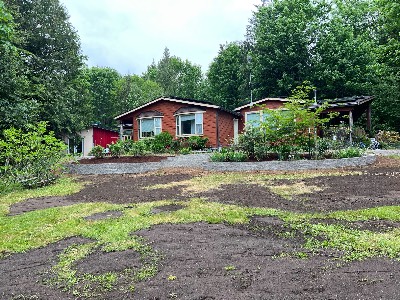 Noriega Landscaping project photo 13