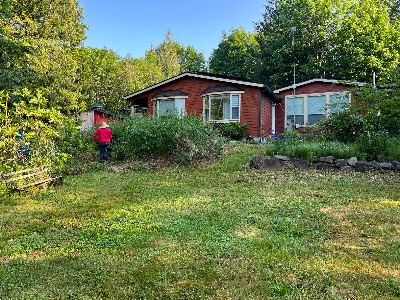 Noriega Landscaping project photo 12