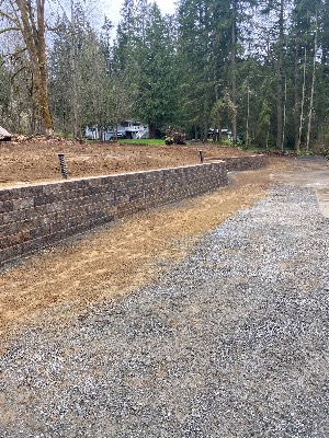 Noriega Landscaping project photo 5