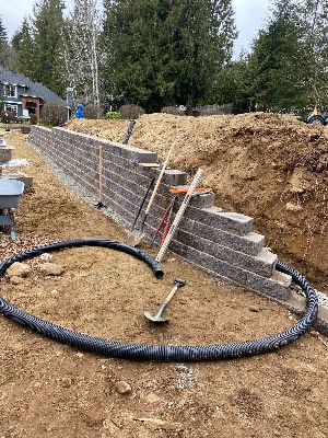 Noriega Landscaping project photo 4