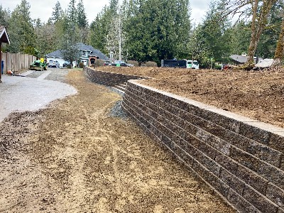 Noriega Landscaping project photo 3