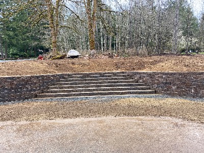 Noriega Landscaping project photo 1