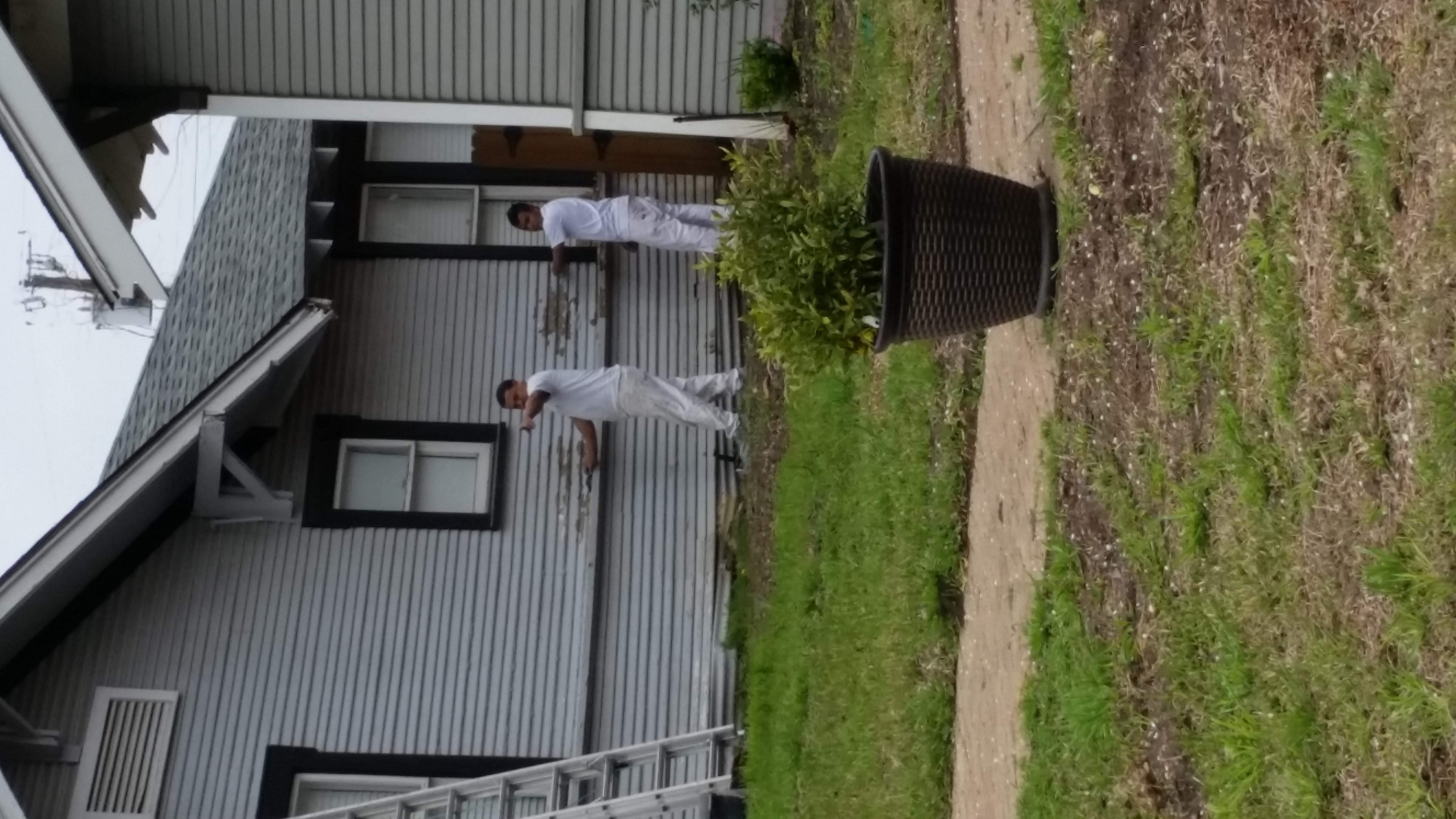 Professional Exterior Paint Services detail 3