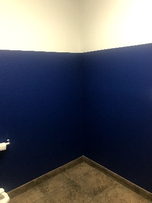 NR Painting project photo 18