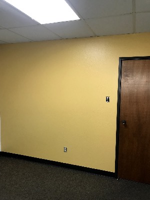 NR Painting project photo 17
