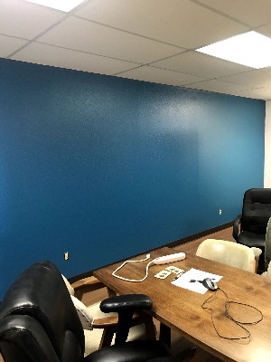 NR Painting project photo 16