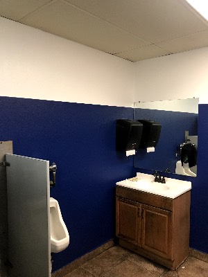NR Painting project photo 13